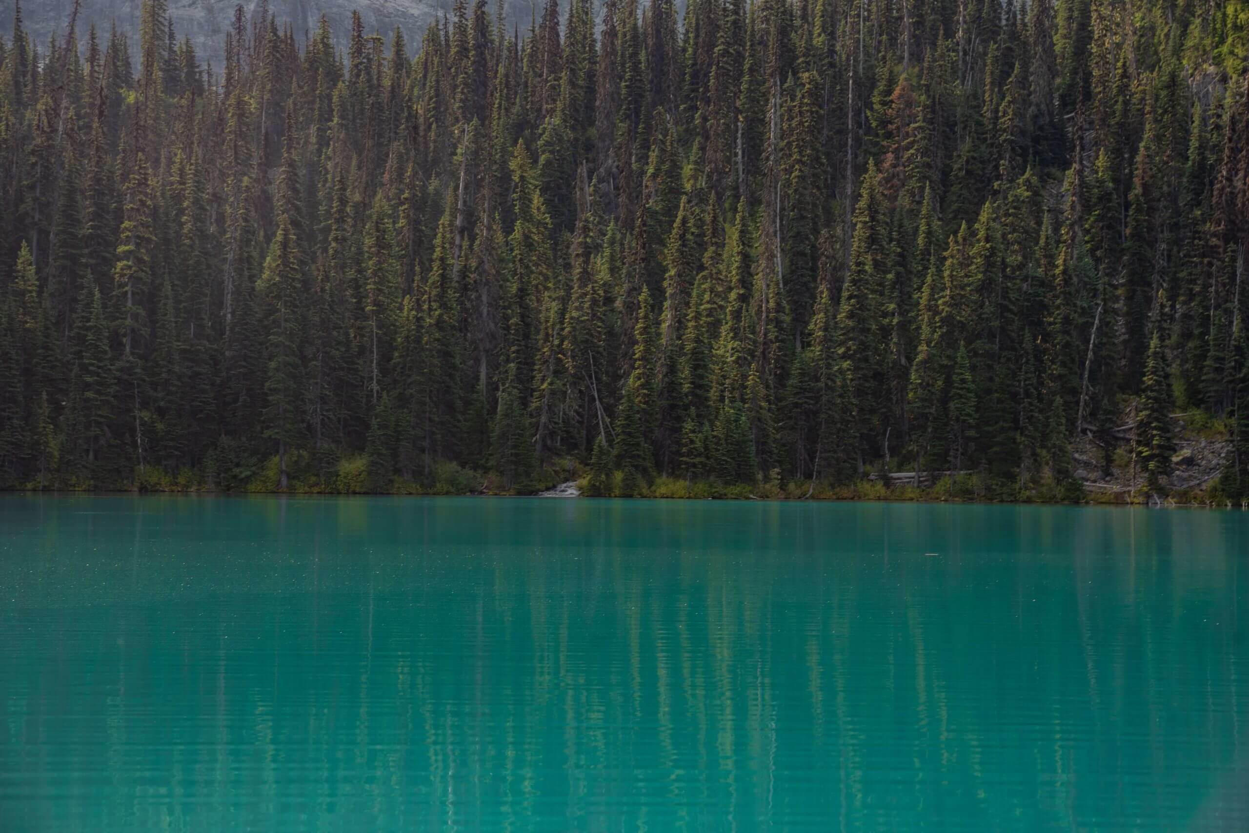 Plan long extrême du sentier des lacs Joffre avec eau turquoise et forêt aux multiples nuances de vert en Colombie-Britannique